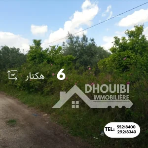 vente-ferme-agricole-kairouan